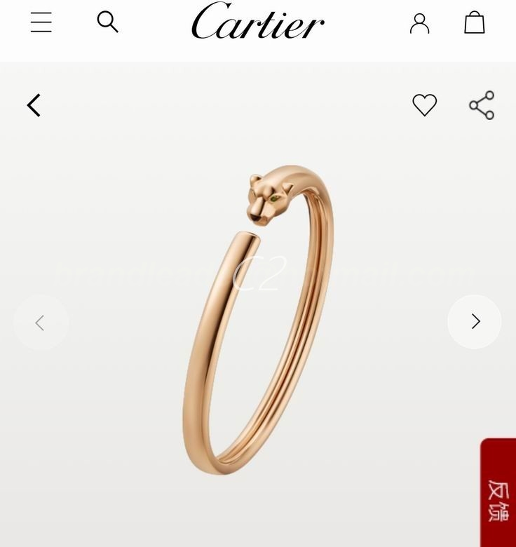 Cartier Bangles 89